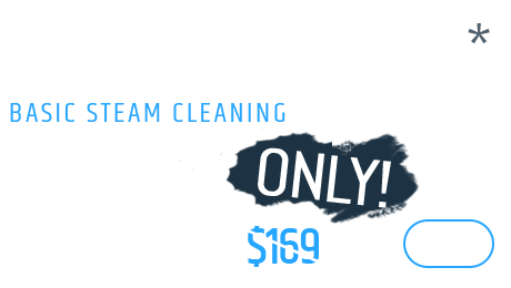 Sectional - Basic steam cleaning, Only $149