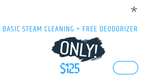 Full Size single mattress - Basic steam cleaning + FREE Deodorizer, Only $99